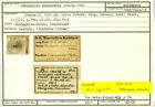 Karteikarte zum Holotyp von Cornuspira archimedis Stache, 1864